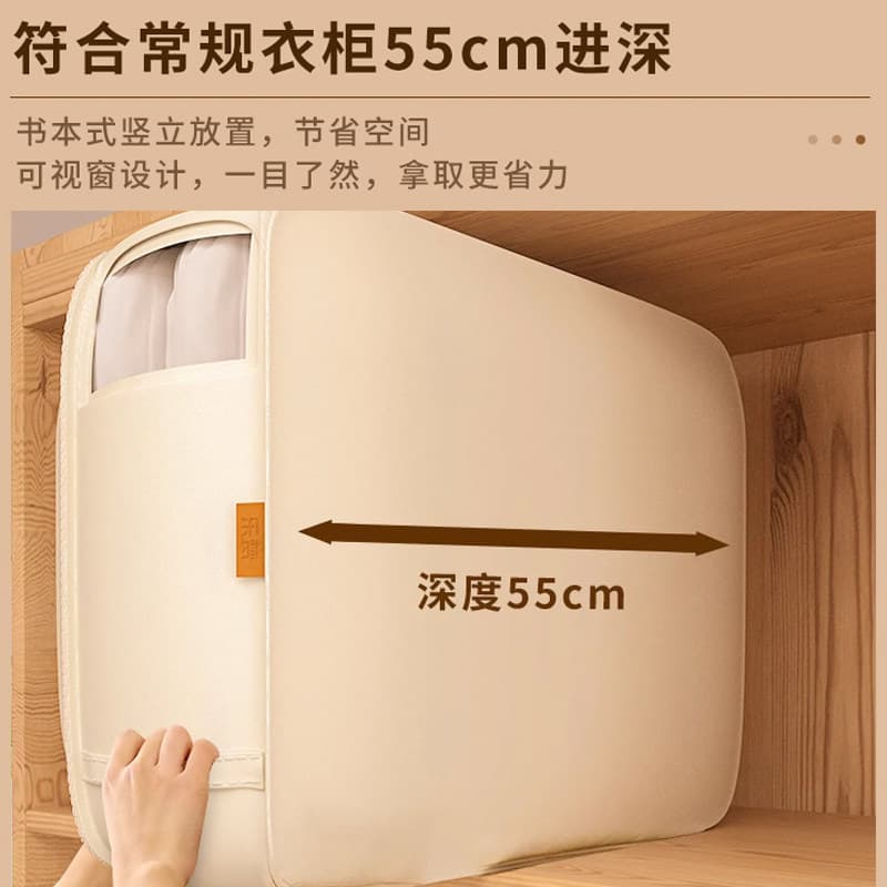 ベッド 下 収納 大容量窓付き取っ手付き衣装ケース
